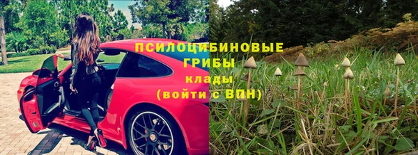 a pvp Верхний Тагил