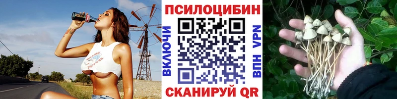 Псилоцибиновые грибы мухоморы Гороховец